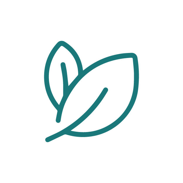 Natural Antioxidant Properties